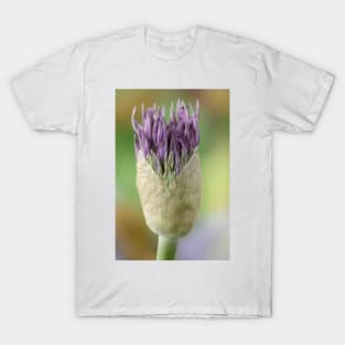 Allium  &#39;Powder Puff&#39;  AGM  Ornamental onion T-Shirt